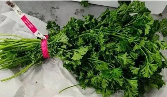 制作寿司时，如何避免食物过敏风险